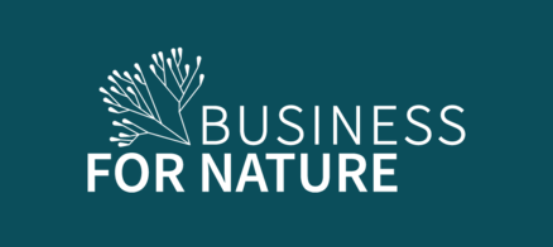 175374988172138486B1.png 1.png